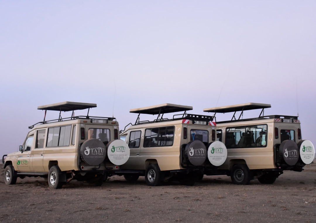 Tatu Our Safari Fleet